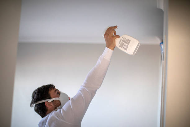 Best Emergency Mold Remediation in El Macero, CA